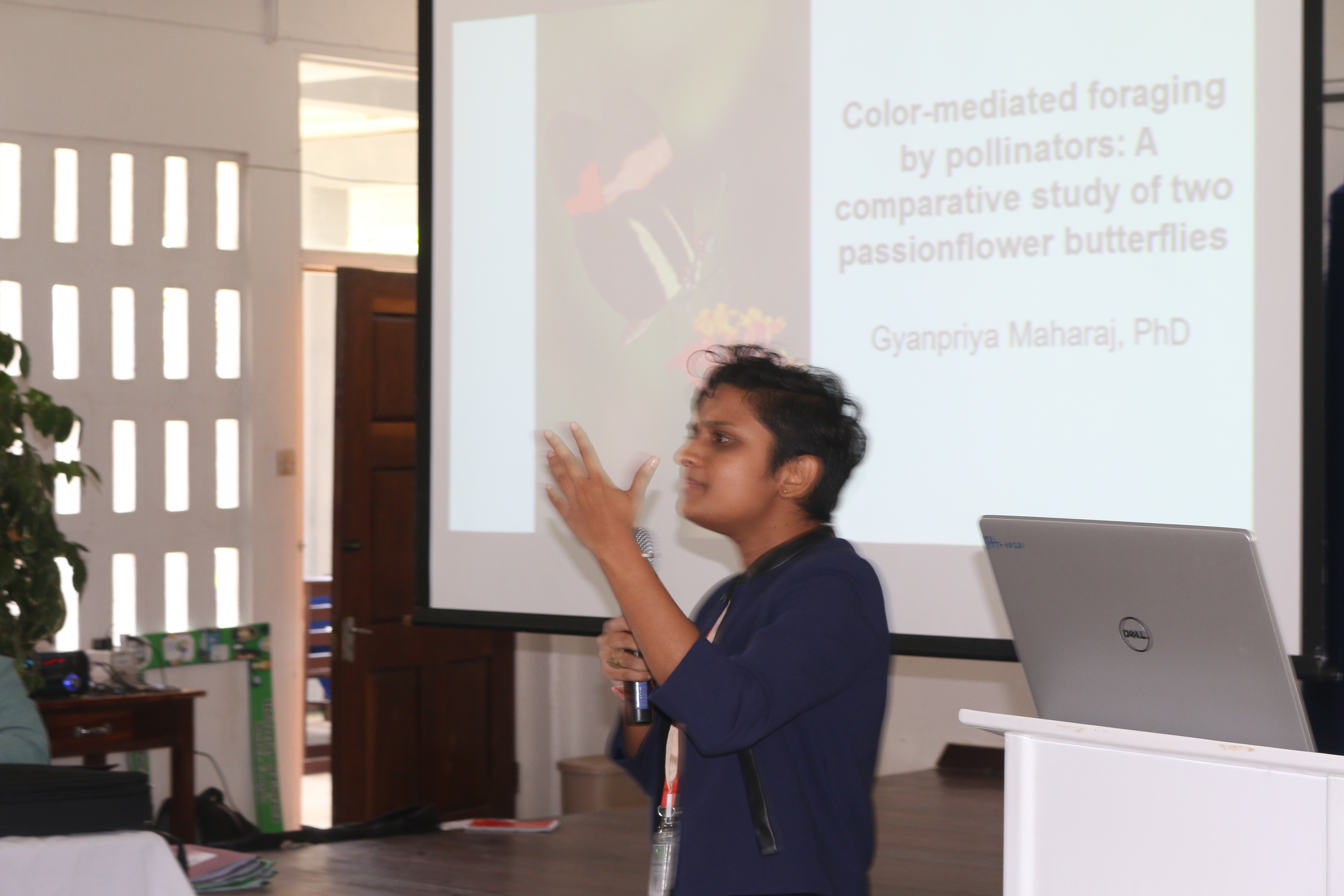 Inaugural Undergraduate Research Conferences